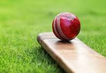 🏏 Cricket Kenya T20 League Attracts Global Interest